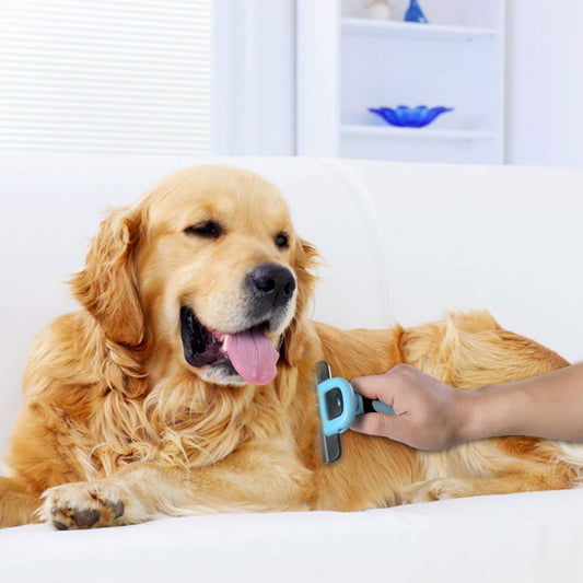 Peine rascador para perros
