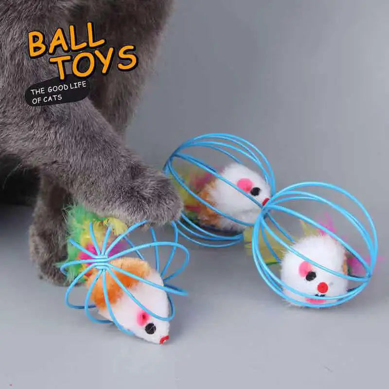 Caza Raton