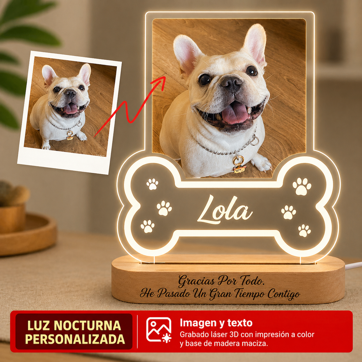 Siempre Contigo Lámpara Personalizada Mascotas