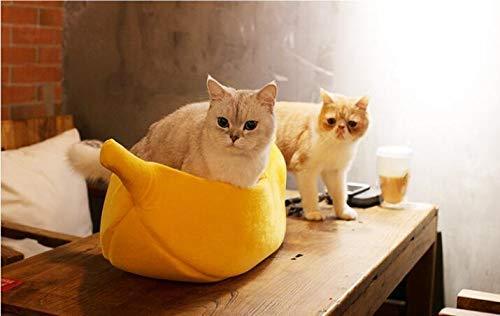 Cama de plátanos para mascotas