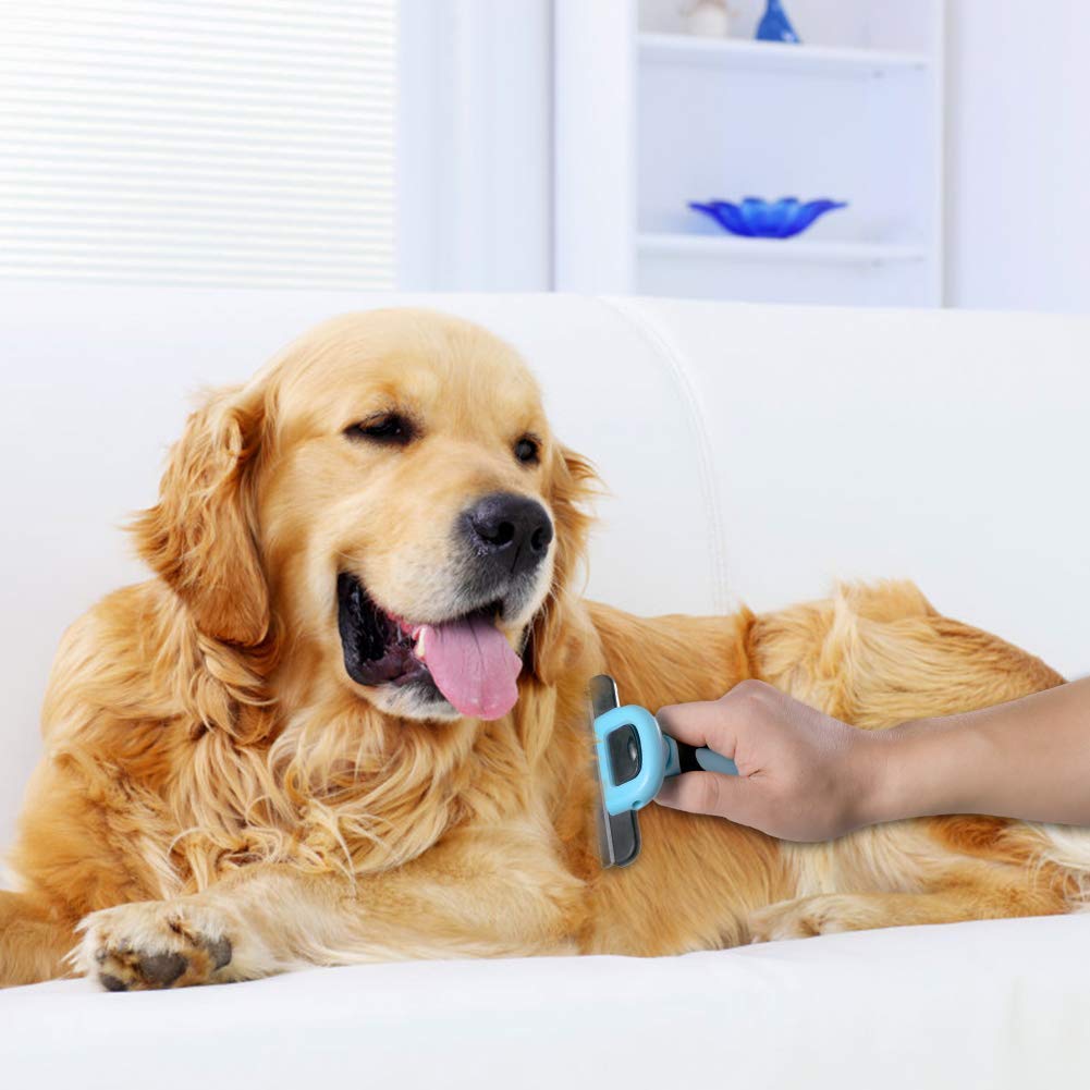 Peine rascador para perros