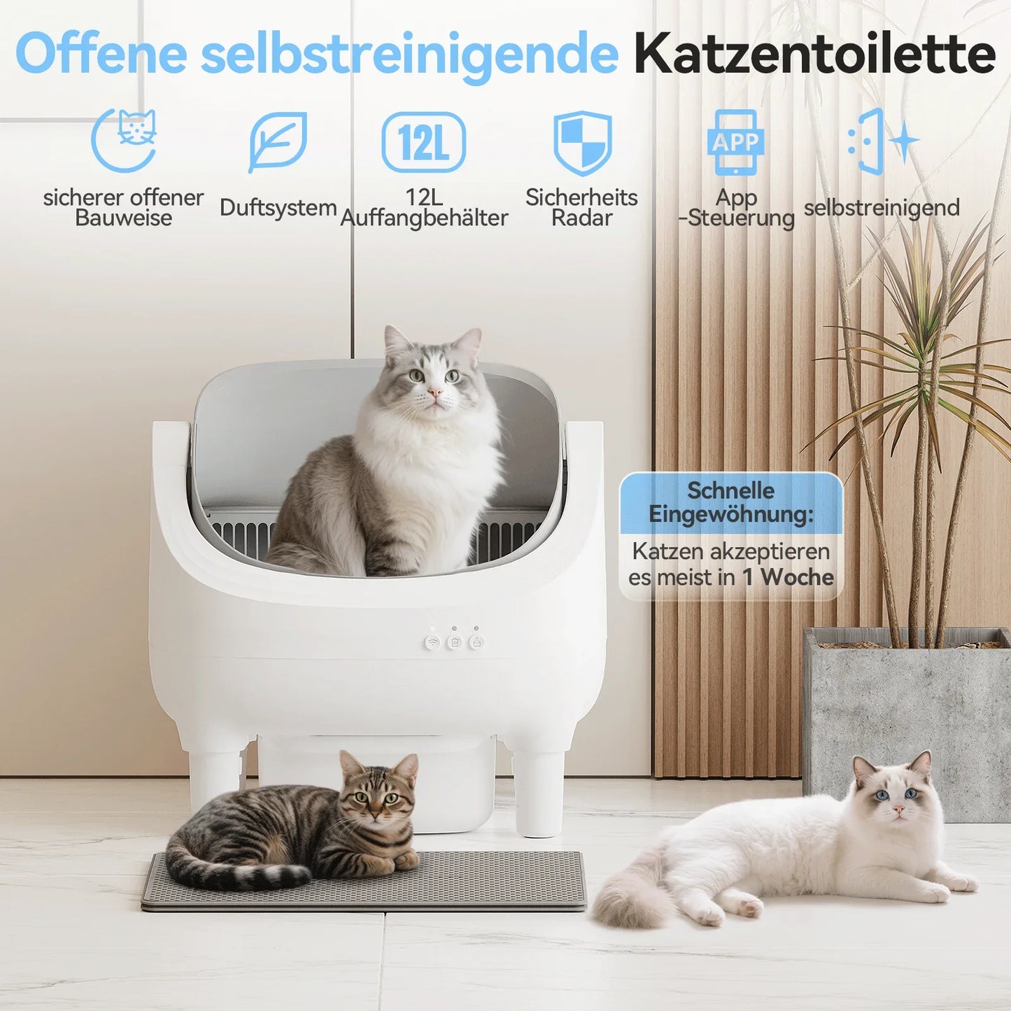 AutoClean Cat