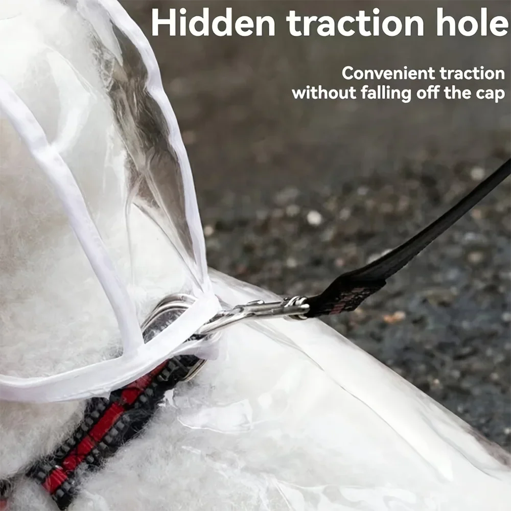 Impermeable Transparente para Perros