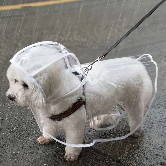 Impermeable Transparente para Perros