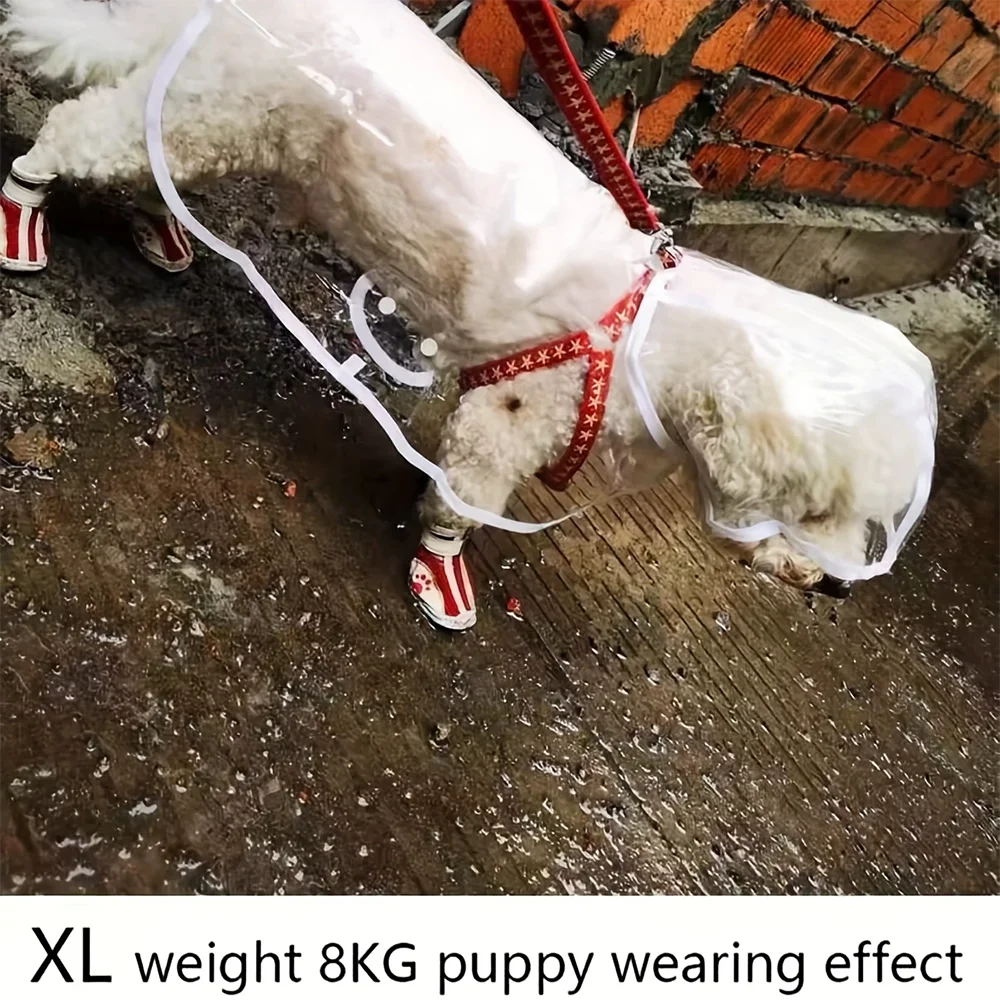 Impermeable Transparente para Perros