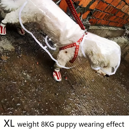 Impermeable Transparente para Perros