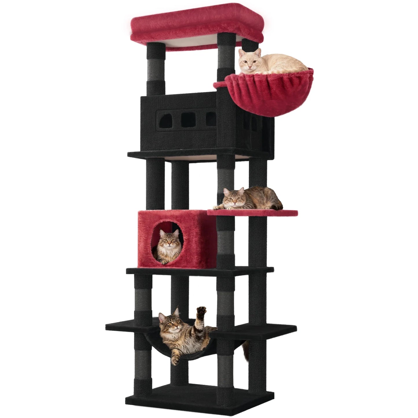 Torre Rascadora XXL para Gatos