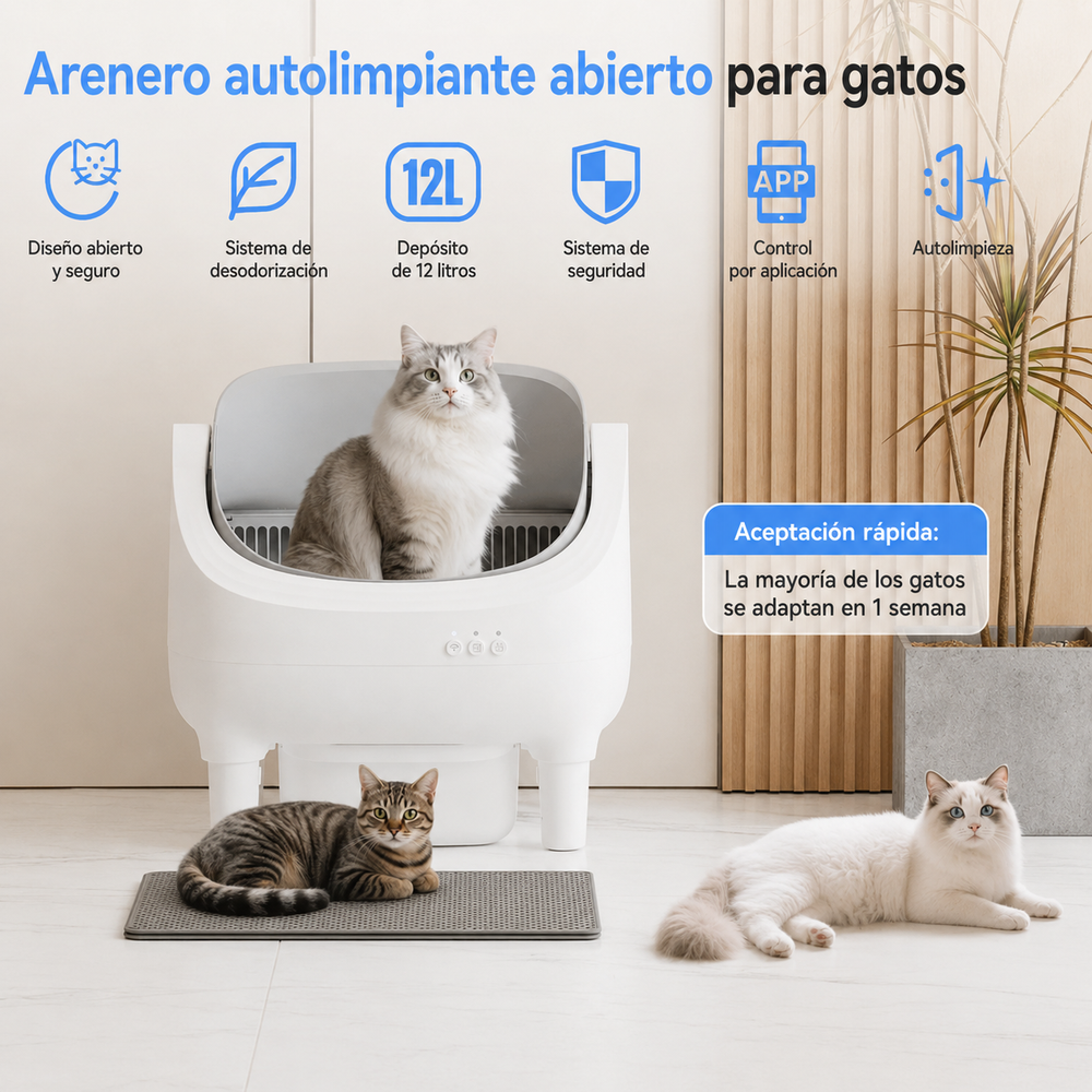 AutoClean Cat