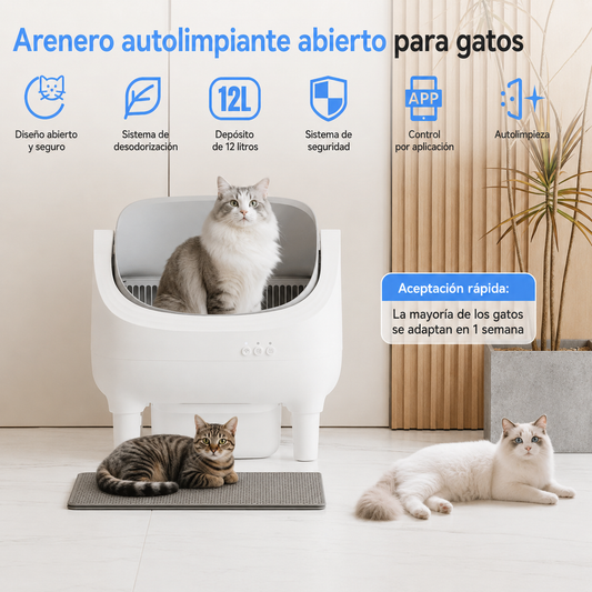 AutoClean Cat