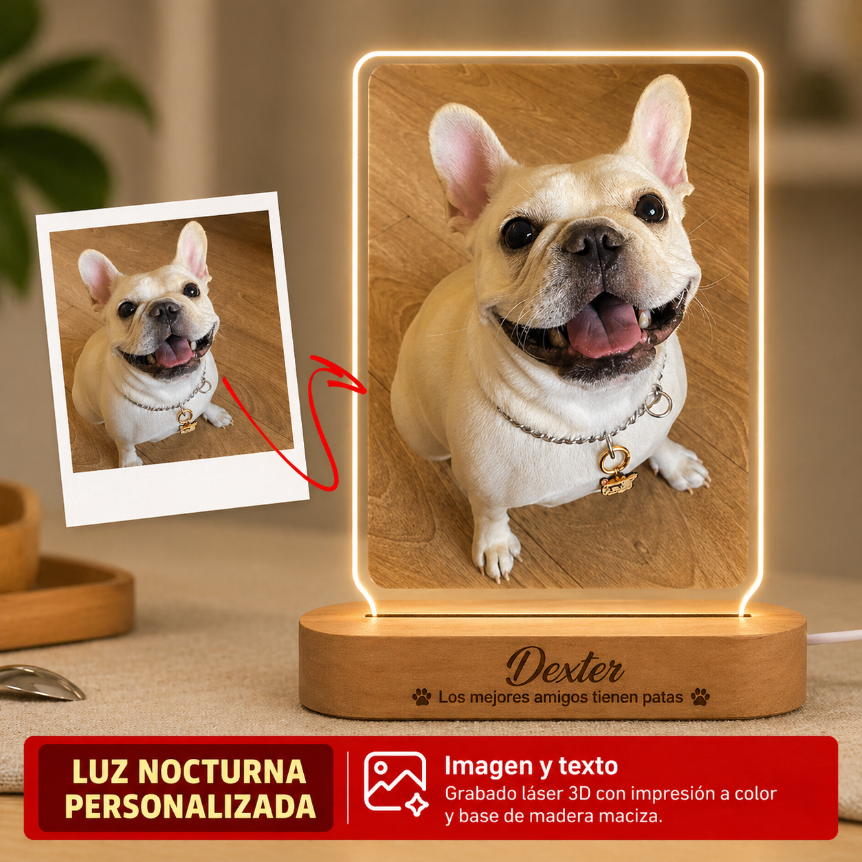 Siempre Contigo Lámpara Personalizada Mascotas