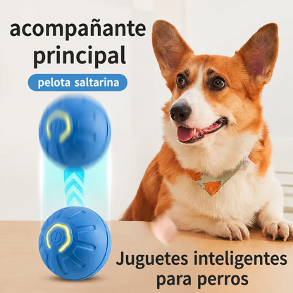 Bola Interactiva Automática