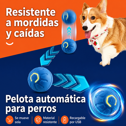 Bola Interactiva Automática