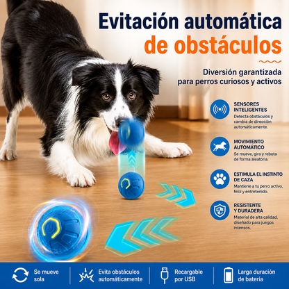 Bola Interactiva Automática