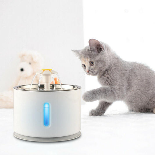 Fuente de agua LED para mascotas