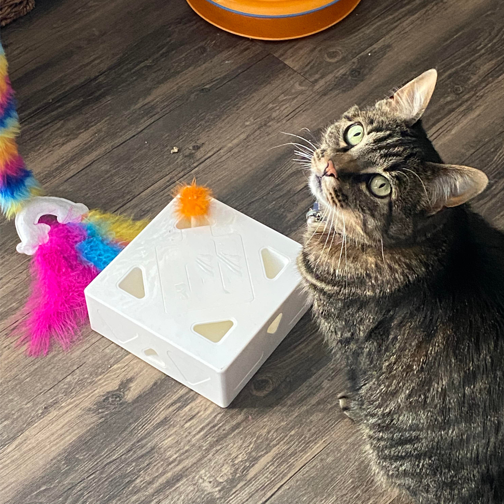 Cubo interactivo para Gatos