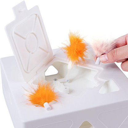 Cubo interactivo para Gatos