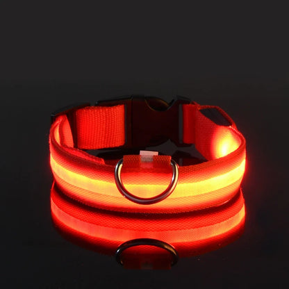 Correa LED para Mascotas