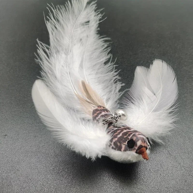 CazaPluma