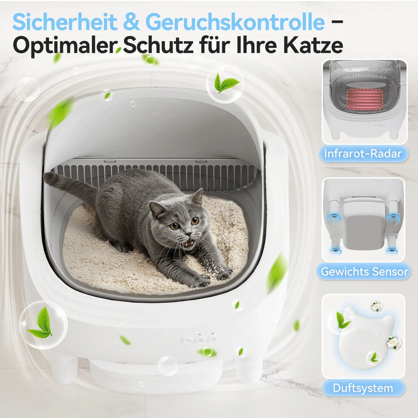 AutoClean Cat