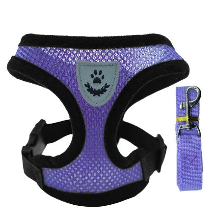 Correa transpirable para Perro y Gato