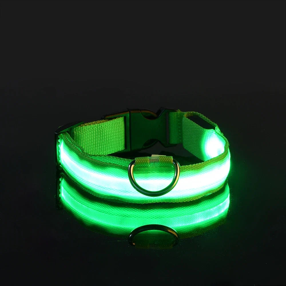 Correa LED para Mascotas
