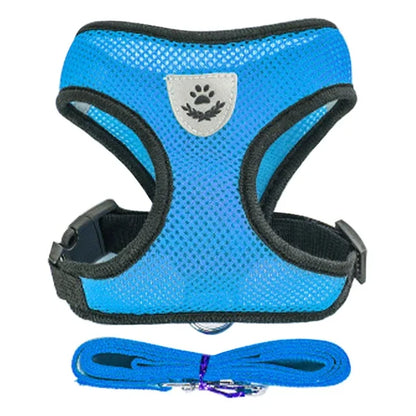 Correa transpirable para Perro y Gato