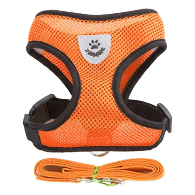 Correa transpirable para Perro y Gato