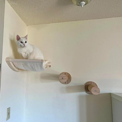 Set Escalada de Pared para Gatos