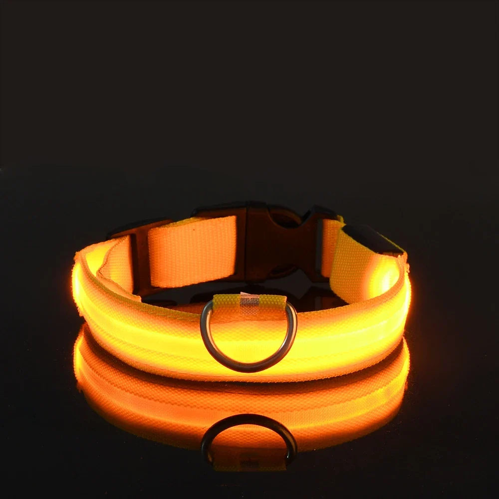 Correa LED para Mascotas