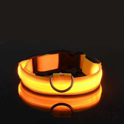 Correa LED para Mascotas