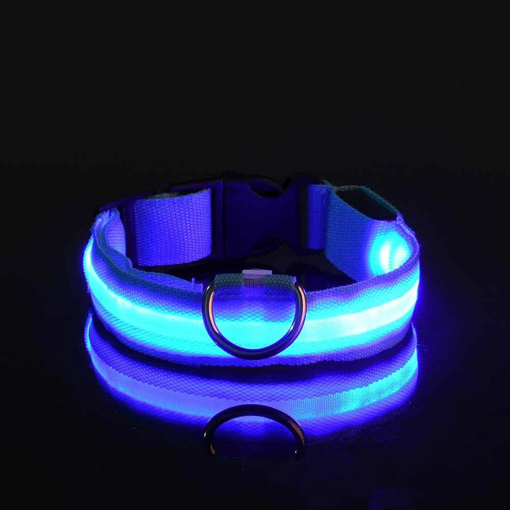 Correa LED para Mascotas