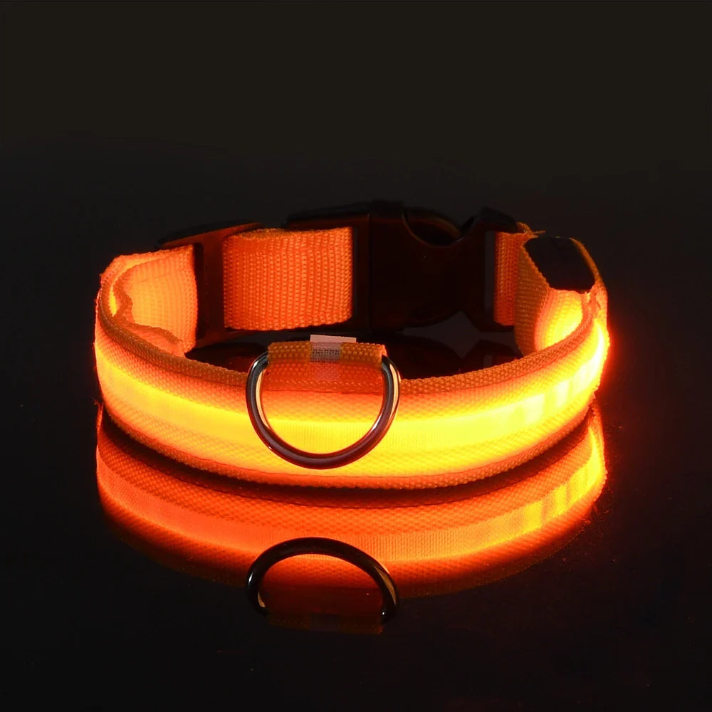 Correa LED para Mascotas