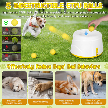 Lanzapelotas Automático Canino