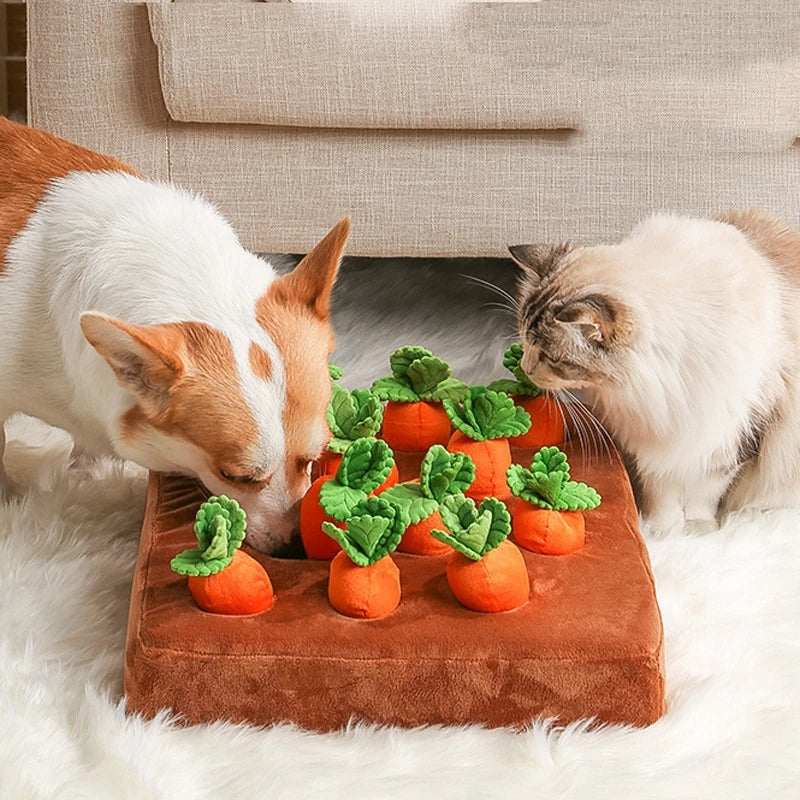 CarrotPlay