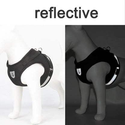 Arnés Reflectante para Gatos y Perros con Correa