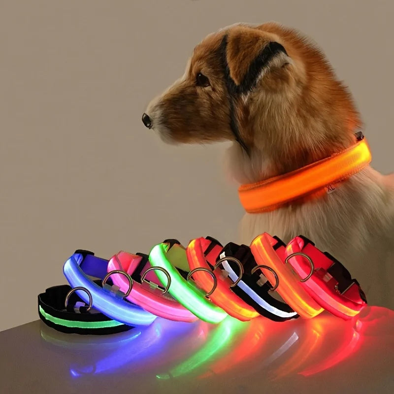 Correa LED para Mascotas