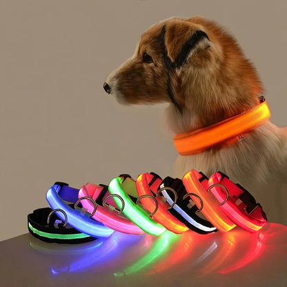 Correa LED para Mascotas