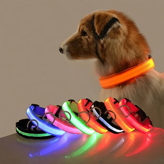 Correa LED para Mascotas