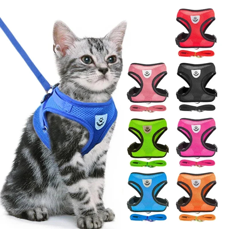 Correa transpirable para Perro y Gato