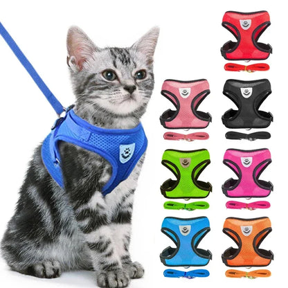 Correa transpirable para Perro y Gato