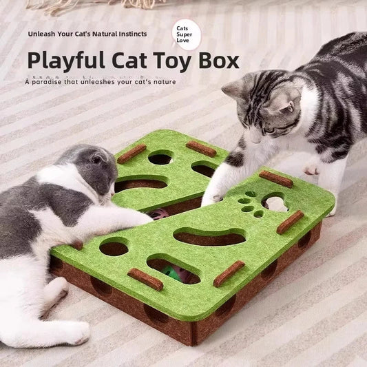 CatPuzzle