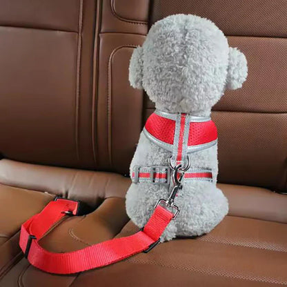 Cinturón para Mascotas