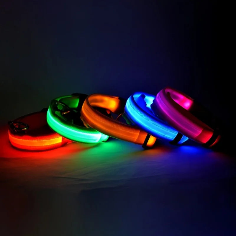 Correa LED para Mascotas