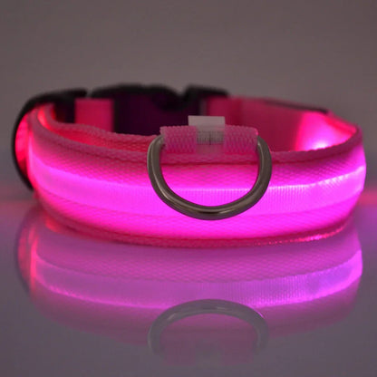 Correa LED para Mascotas