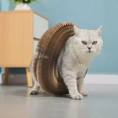Rascador + Juego para Gatos