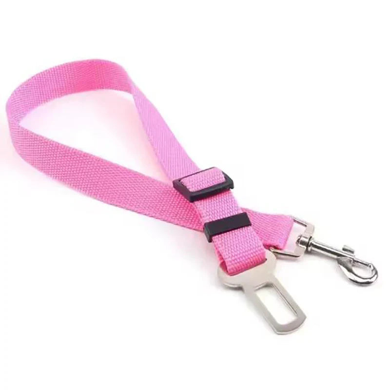 Cinturón para Mascotas