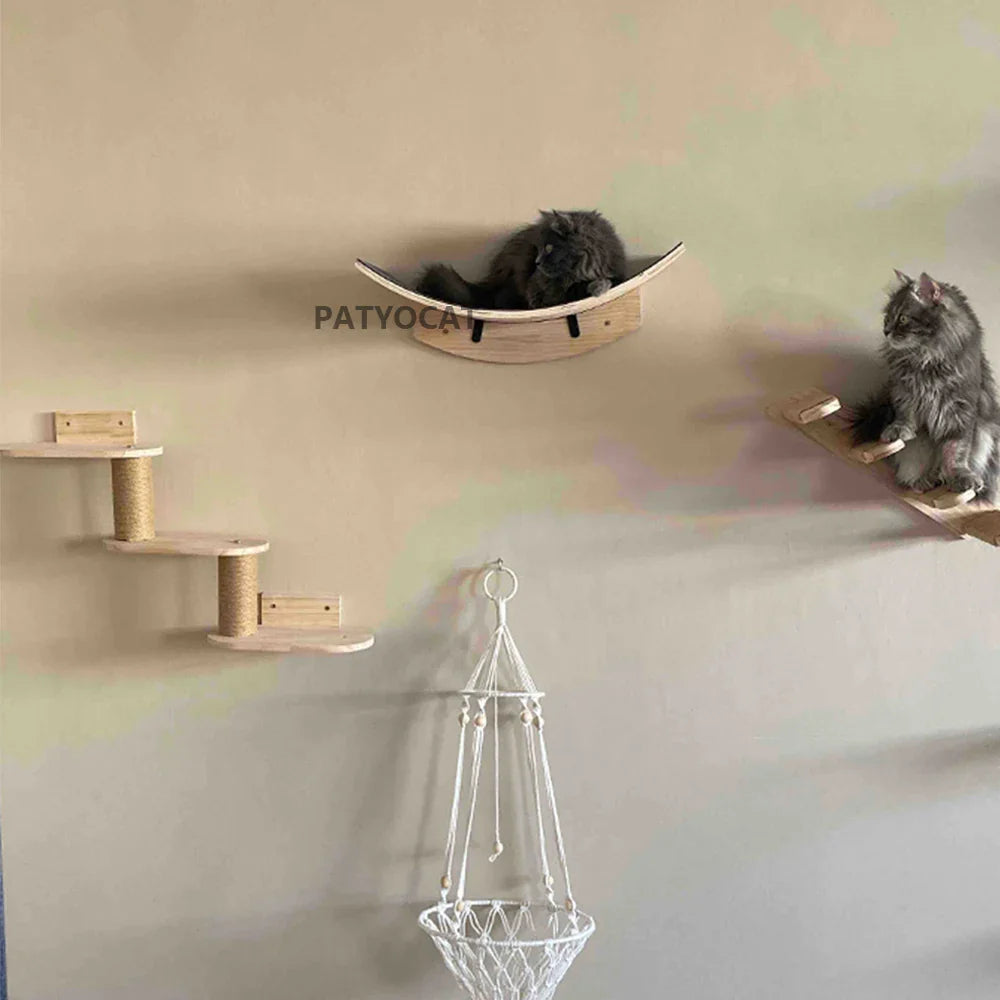 Set Escalada de Pared para Gatos