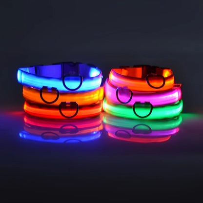 Correa LED para Mascotas