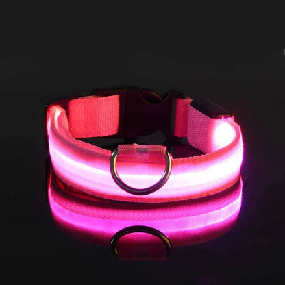 Correa LED para Mascotas