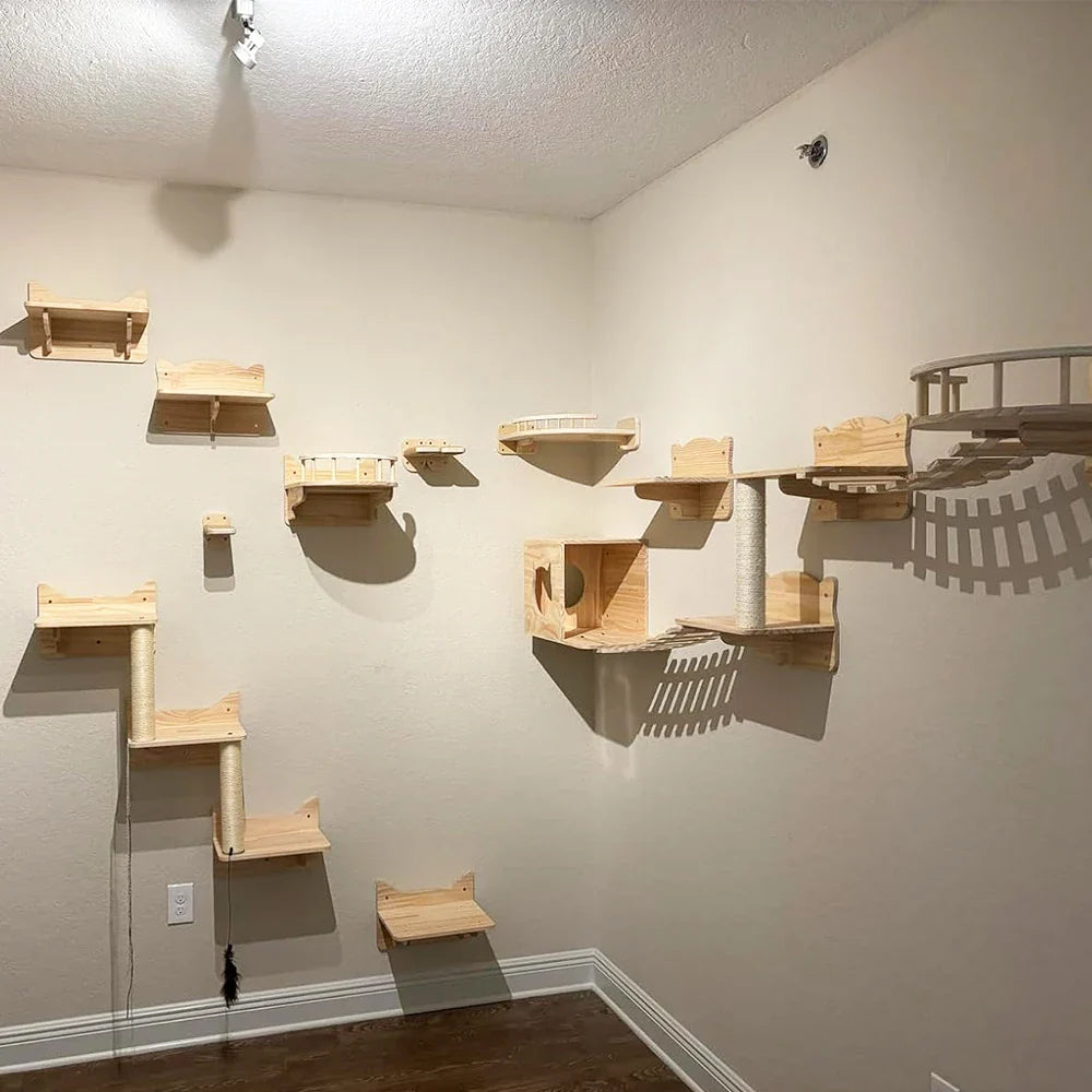 Set Escalada de Pared para Gatos